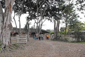 Hacienda Jambelí